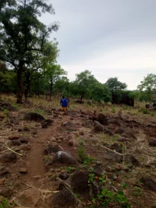 Img 20250517 083107 361