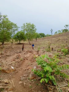 Img 20250517 083108 215